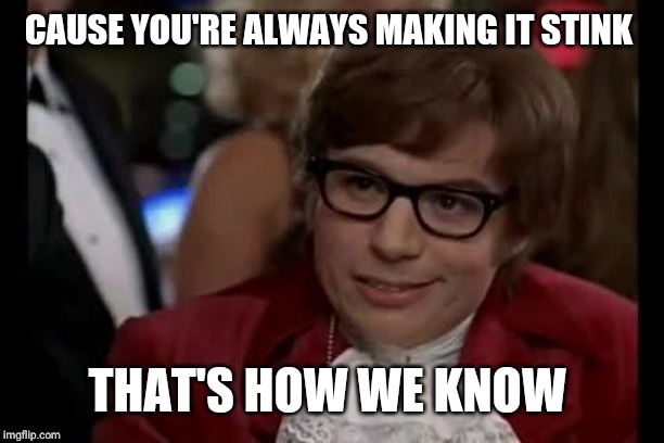 Austin Powers | CAUSE YOU'RE ALWAYS MAKING IT STINK THAT'S HOW WE KNOW | image tagged in austin powers | made w/ Imgflip meme maker