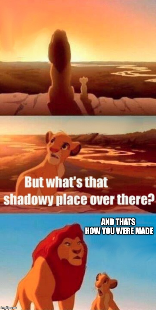 Simba Shadowy Place Meme | AND THATS HOW YOU WERE MADE | image tagged in memes,simba shadowy place | made w/ Imgflip meme maker