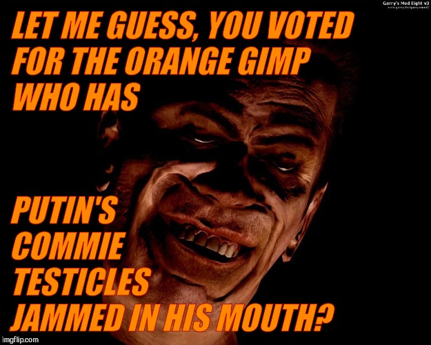. red dark | LET ME GUESS, YOU VOTED                           FOR THE ORANGE GIMP                           WHO HAS PUTIN'S               COMMIE TESTICL | image tagged in g-man from half-life | made w/ Imgflip meme maker