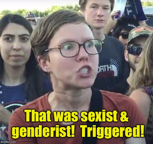 Triggered feminist | That was sexist & genderist!  Triggered! | image tagged in triggered feminist | made w/ Imgflip meme maker