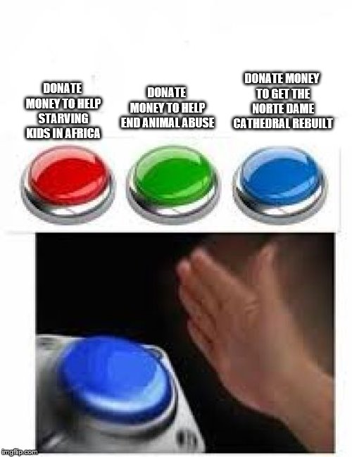 Red Green Blue Buttons |  DONATE MONEY TO HELP END ANIMAL ABUSE; DONATE MONEY TO GET THE NORTE DAME CATHEDRAL REBUILT; DONATE MONEY TO HELP STARVING KIDS IN AFRICA | image tagged in red green blue buttons | made w/ Imgflip meme maker
