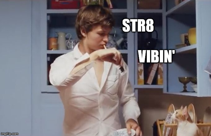 STR8; VIBIN' | image tagged in funny cat memes | made w/ Imgflip meme maker