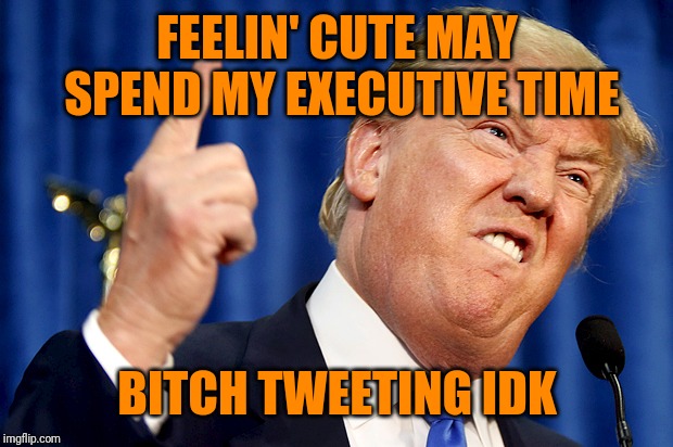 Donald Trump | FEELIN' CUTE MAY SPEND MY EXECUTIVE TIME B**CH TWEETING IDK | image tagged in donald trump | made w/ Imgflip meme maker