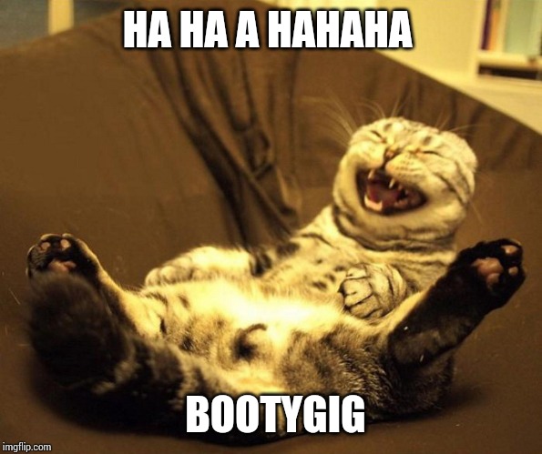 laughing cat | HA HA A HAHAHA BOOTYGIG | image tagged in laughing cat | made w/ Imgflip meme maker