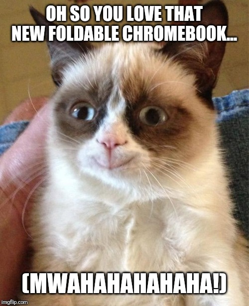 Grumpy Cat Happy Meme | OH SO YOU LOVE THAT NEW FOLDABLE CHROMEBOOK... (MWAHAHAHAHAHA!) | image tagged in memes,grumpy cat happy,grumpy cat | made w/ Imgflip meme maker