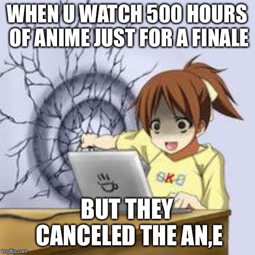 Anime wall punch | WHEN U WATCH 500 HOURS OF ANIME JUST FOR A FINALE; BUT THEY CANCELED THE AN,E | image tagged in anime wall punch | made w/ Imgflip meme maker
