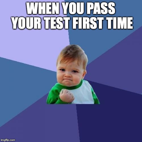 Success Kid Meme | WHEN YOU PASS YOUR TEST FIRST TIME | image tagged in memes,success kid | made w/ Imgflip meme maker