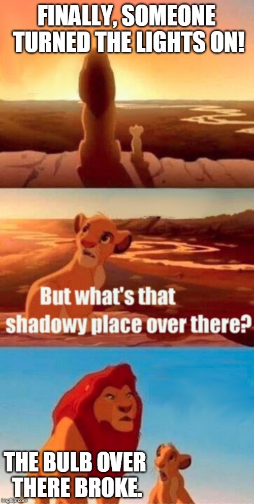 Simba Shadowy Place Meme | FINALLY, SOMEONE TURNED THE LIGHTS ON! THE BULB OVER THERE BROKE. | image tagged in memes,simba shadowy place | made w/ Imgflip meme maker
