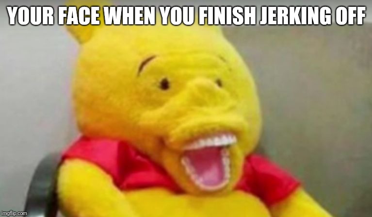 Winnie The Pooh Whaaat | YOUR FACE WHEN YOU FINISH JERKING OFF | image tagged in winnie the pooh whaaat | made w/ Imgflip meme maker