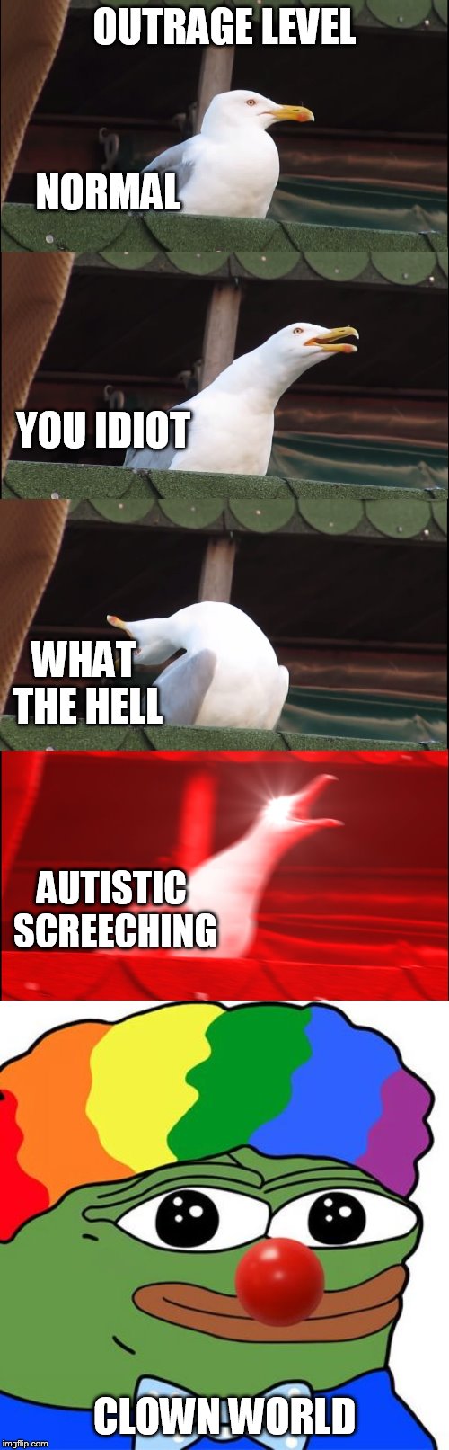 break though to the other side | OUTRAGE LEVEL; NORMAL; YOU IDIOT; WHAT THE HELL; AUTISTIC SCREECHING; CLOWN WORLD | image tagged in memes,inhaling seagull,honk honkler | made w/ Imgflip meme maker