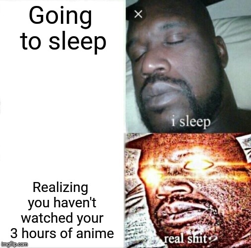 Sleeping Shaq Meme | Going to sleep; Realizing you haven't watched your 3 hours of anime | image tagged in memes,sleeping shaq | made w/ Imgflip meme maker