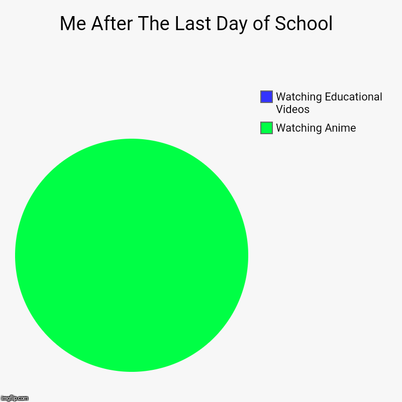 Me After The Last Day of School  | Watching Anime , Watching Educational Videos | image tagged in charts,pie charts | made w/ Imgflip chart maker