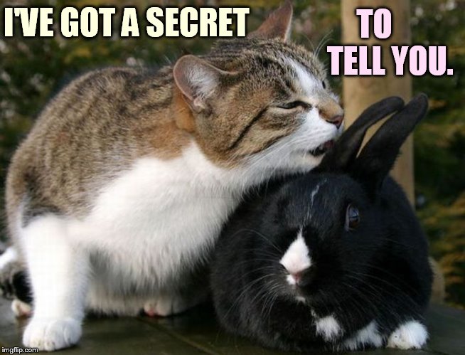 I'VE GOT A SECRET TO     TELL YOU. | made w/ Imgflip meme maker