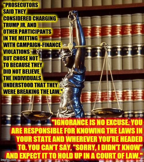 If You Don't Know What's Illegal Should You Be Advising the President?  Why Is He Treated Differently Than You Or I Would Be? | "PROSECUTORS SAID THEY CONSIDERED CHARGING TRUMP JR. AND OTHER PARTICIPANTS IN THE MEETING WITH CAMPAIGN-FINANCE VIOLATIONS BUT CHOSE NOT TO BECAUSE THEY DID NOT BELIEVE THE INDIVIDUALS UNDERSTOOD THAT THEY WERE BREAKING THE LAW."; "IGNORANCE IS NO EXCUSE. YOU ARE RESPONSIBLE FOR KNOWING THE LAWS IN YOUR STATE AND WHEREVER YOU’RE HEADED TO. YOU CAN’T SAY, “SORRY, I DIDN’T KNOW” AND EXPECT IT TO HOLD UP IN A COURT OF LAW." | image tagged in law library books justice tyranny,trump unfit unqualified dangerous,memes,illegal,lock him up,liar in chief | made w/ Imgflip meme maker