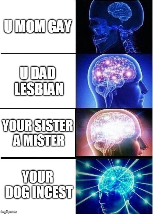 Expanding Brain Meme |  U MOM GAY; U DAD LESBIAN; YOUR SISTER A MISTER; YOUR DOG INCEST | image tagged in memes,expanding brain | made w/ Imgflip meme maker
