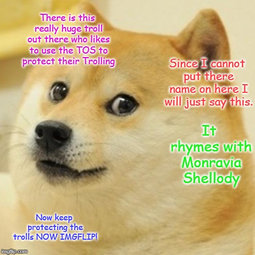 TROLL TROLL TROLL ALERT | There is this really huge troll out there who likes to use the TOS to protect their Trolling; Since I cannot put there name on here I will just say this. It rhymes with Monravia Shellody; Now keep protecting the trolls NOW IMGFLIP! | image tagged in memes,doge | made w/ Imgflip meme maker
