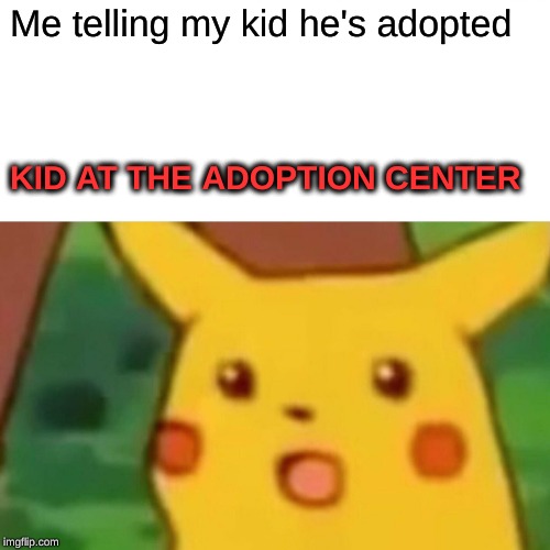 Surprised Pikachu | Me telling my kid he's adopted; KID AT THE ADOPTION CENTER | image tagged in memes,surprised pikachu | made w/ Imgflip meme maker