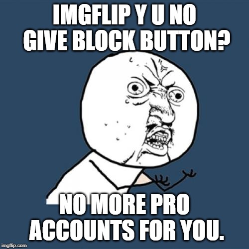 Y U No | IMGFLIP Y U NO GIVE BLOCK BUTTON? NO MORE PRO ACCOUNTS FOR YOU. | image tagged in memes,y u no | made w/ Imgflip meme maker