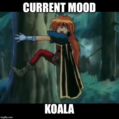 CURRENT MOOD; KOALA | image tagged in slayers,anime,koala,lina inverse | made w/ Imgflip meme maker