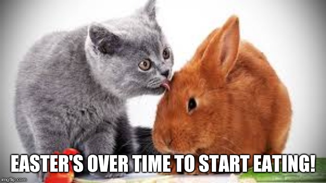 EASTER'S OVER TIME TO START EATING! | made w/ Imgflip meme maker