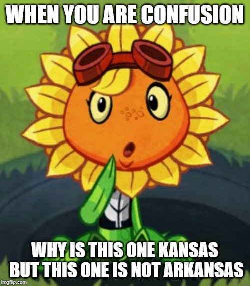 Confusion | WHEN YOU ARE CONFUSION; WHY IS THIS ONE KANSAS BUT THIS ONE IS NOT ARKANSAS | image tagged in confusion | made w/ Imgflip meme maker