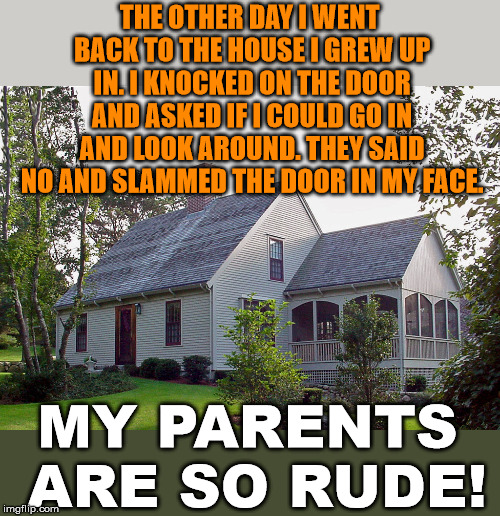 Angry home owners |  THE OTHER DAY I WENT BACK TO THE HOUSE I GREW UP IN. I KNOCKED ON THE DOOR AND ASKED IF I COULD GO IN AND LOOK AROUND. THEY SAID NO AND SLAMMED THE DOOR IN MY FACE. MY PARENTS ARE SO RUDE! | image tagged in home,parents,rude,funny meme | made w/ Imgflip meme maker