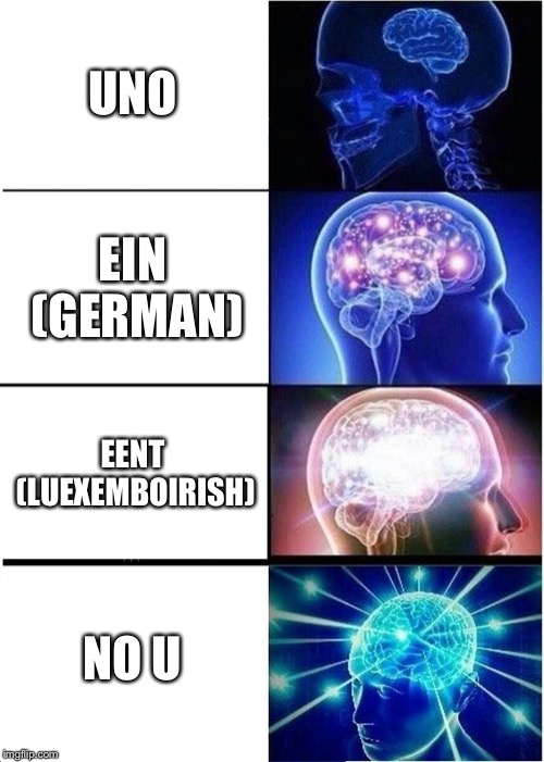 Expanding Brain | UNO; EIN (GERMAN); EENT (LUEXEMBOIRISH); NO U | image tagged in memes,expanding brain | made w/ Imgflip meme maker