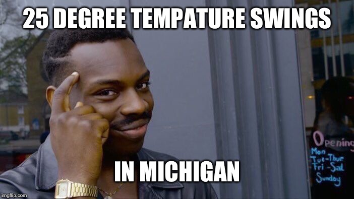 Roll Safe Think About It | 25 DEGREE TEMPATURE SWINGS; IN MICHIGAN | image tagged in memes,roll safe think about it | made w/ Imgflip meme maker
