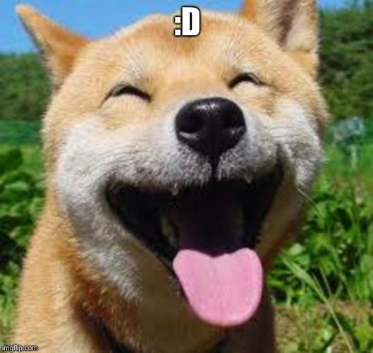 Happy Doge | :D | image tagged in happy doge | made w/ Imgflip meme maker