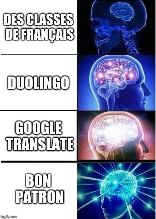 Expanding Brain Meme | DES CLASSES DE FRANÇAIS; DUOLINGO; GOOGLE TRANSLATE; BON PATRON | image tagged in memes,expanding brain | made w/ Imgflip meme maker