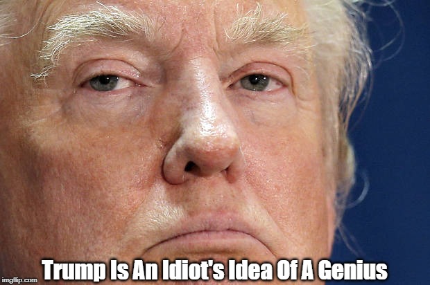 "Trump Is An Idiot's Idea Of A Genius" | Trump Is An Idiot's Idea Of A Genius | image tagged in trump,idiot,genius | made w/ Imgflip meme maker