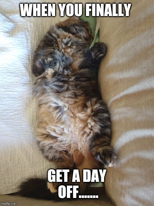 Coma Kitty | WHEN YOU FINALLY; GET A DAY OFF....... | image tagged in coma kitty | made w/ Imgflip meme maker