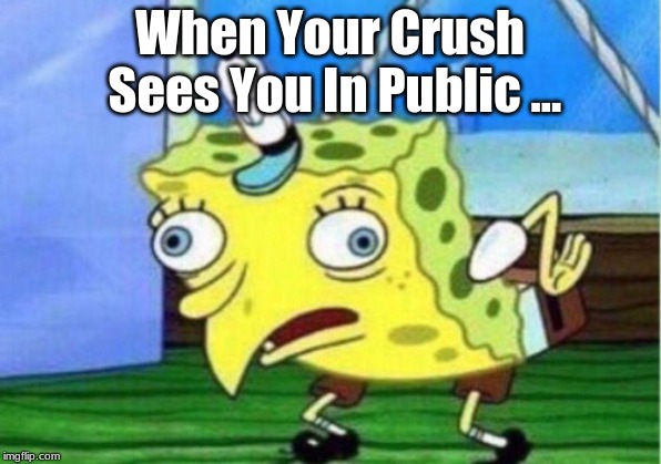 Mocking Spongebob Meme | When Your Crush Sees You In Public ... | image tagged in memes,mocking spongebob | made w/ Imgflip meme maker