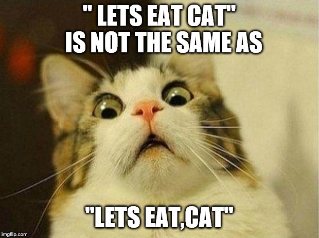 Scared Cat | " LETS EAT CAT" 
IS NOT THE SAME AS; "LETS EAT,CAT" | image tagged in memes,scared cat | made w/ Imgflip meme maker