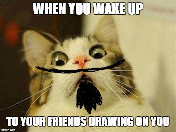 Scared Cat Meme | WHEN YOU WAKE UP; TO YOUR FRIENDS DRAWING ON YOU | image tagged in memes,scared cat | made w/ Imgflip meme maker