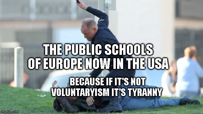 Cop Beating | THE PUBLIC SCHOOLS OF EUROPE NOW IN THE USA; BECAUSE IF IT'S NOT VOLUNTARYISM IT'S TYRANNY | image tagged in cop beating | made w/ Imgflip meme maker