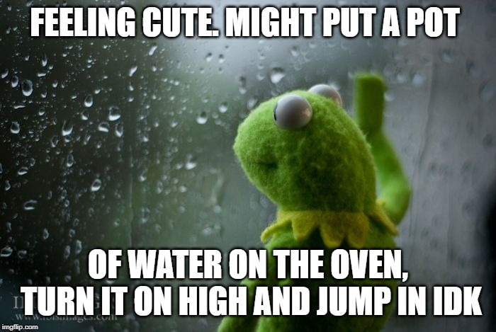 Frog in Boiling Water | FEELING CUTE. MIGHT PUT A POT; OF WATER ON THE OVEN, TURN IT ON HIGH AND JUMP IN IDK | image tagged in kermit window,frog in bioling water,feeling cute | made w/ Imgflip meme maker