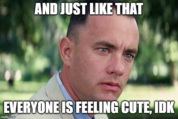 And Just Like That | AND JUST LIKE THAT; EVERYONE IS FEELING CUTE, IDK | image tagged in forrest gump | made w/ Imgflip meme maker
