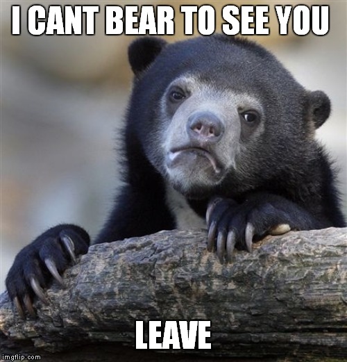 Confession Bear | I CANT BEAR TO SEE YOU; LEAVE | image tagged in memes,confession bear | made w/ Imgflip meme maker