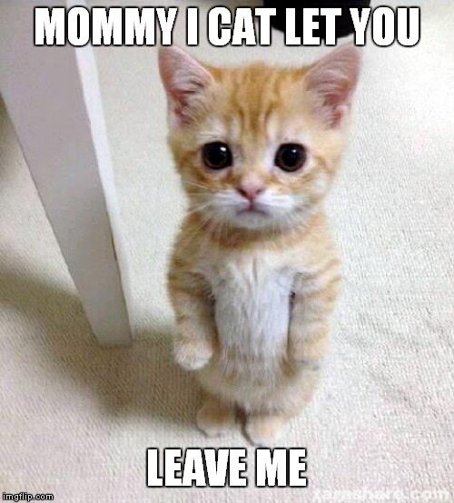 Cute Cat | MOMMY I CAT LET YOU; LEAVE ME | image tagged in memes,cute cat | made w/ Imgflip meme maker
