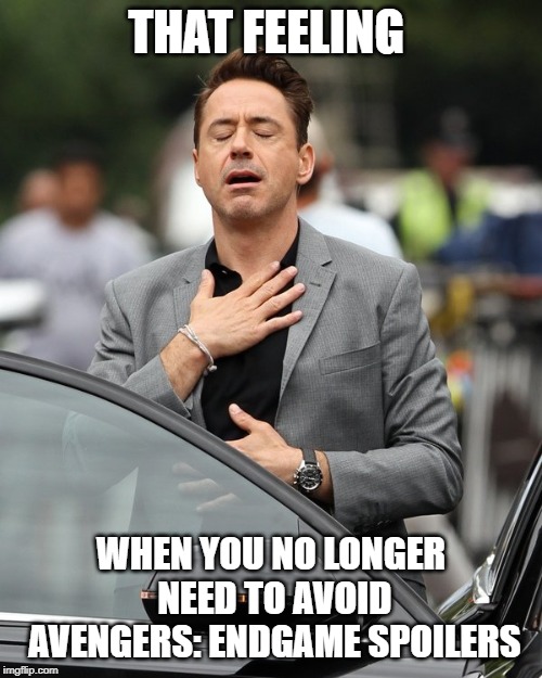 Relief | THAT FEELING; WHEN YOU NO LONGER NEED TO AVOID AVENGERS: ENDGAME SPOILERS | image tagged in relief | made w/ Imgflip meme maker