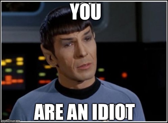 Spock Tore | YOU; ARE AN IDIOT | image tagged in spock tore | made w/ Imgflip meme maker