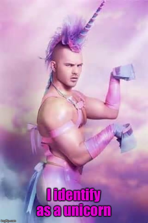 Gay Unicorn | I identify as a unicorn | image tagged in gay unicorn | made w/ Imgflip meme maker