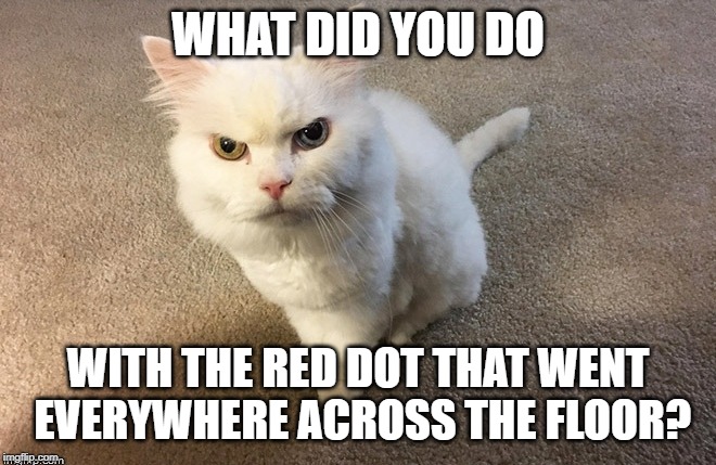 Uh oh! You're in trouble now! | WHAT DID YOU DO; WITH THE RED DOT THAT WENT EVERYWHERE ACROSS THE FLOOR? | image tagged in angry cat | made w/ Imgflip meme maker