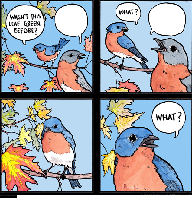 Bird Leaf Blank Meme Template