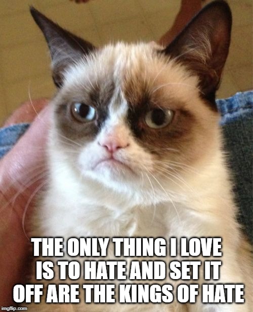 Hate | THE ONLY THING I LOVE IS TO HATE AND SET IT OFF ARE THE KINGS OF HATE | image tagged in memes,grumpy cat | made w/ Imgflip meme maker