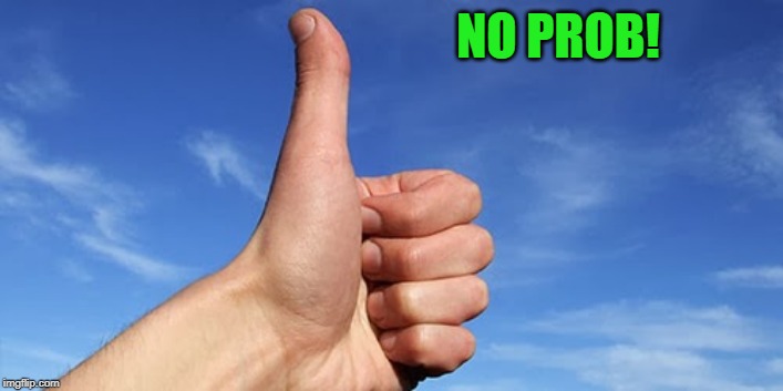 thumbs up | NO PROB! | image tagged in thumbs up | made w/ Imgflip meme maker