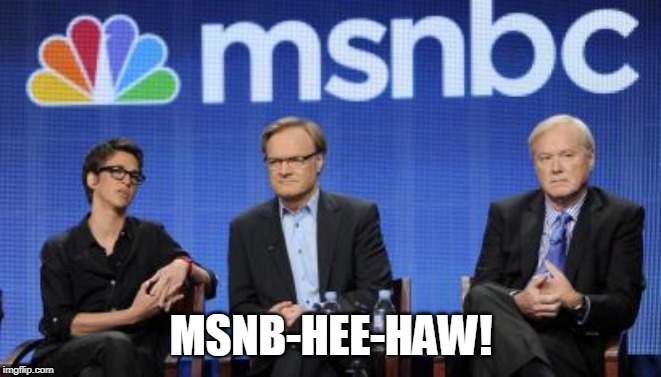 Here's part of the "brain" trust. Buahahahaha.... | MSNB-HEE-HAW! | image tagged in fake news,memes,puppets,non-thinkers | made w/ Imgflip meme maker