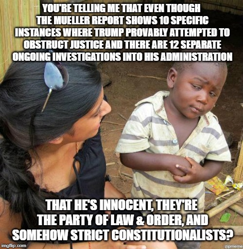 It's a good question | YOU'RE TELLING ME THAT EVEN THOUGH THE MUELLER REPORT SHOWS 10 SPECIFIC INSTANCES WHERE TRUMP PROVABLY ATTEMPTED TO OBSTRUCT JUSTICE AND THERE ARE 12 SEPARATE ONGOING INVESTIGATIONS INTO HIS ADMINISTRATION; THAT HE'S INNOCENT, THEY'RE THE PARTY OF LAW & ORDER, AND SOMEHOW STRICT CONSTITUTIONALISTS? | image tagged in skeptical,donald trump,mueller time,conservative hypocrisy | made w/ Imgflip meme maker