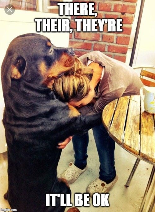 Dog comforting human | THERE, THEIR, THEY'RE IT'LL BE OK | image tagged in dog comforting human | made w/ Imgflip meme maker